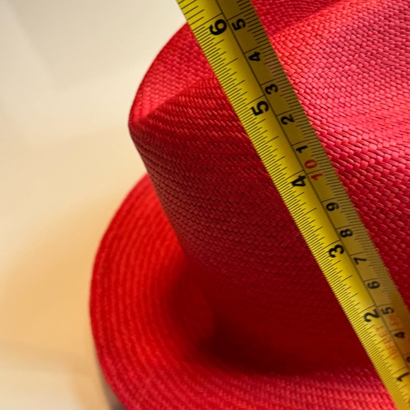 Red Fedora - Picture 8 of 9